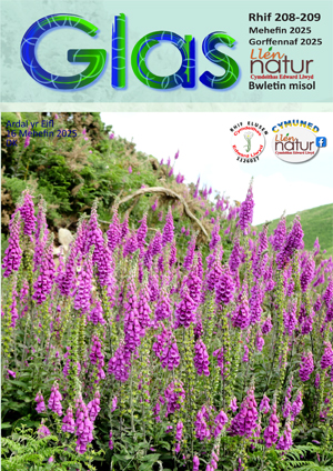 Glas 201