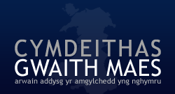 Gwaith Maes